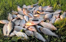 Üdülőközpont Lake Turgoyak - árak, áttekintésre, nyári és téli horgászat