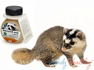 Badger мазнини - полезни и лечебни свойства