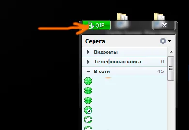 Как да се види какво е написано в анти-спам ботове QIP, съвети