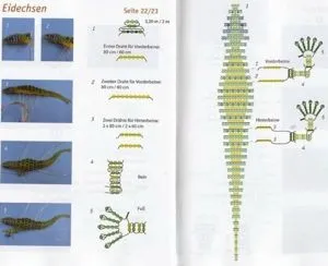 schema de conservatie