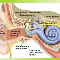 Заболявания на ушите