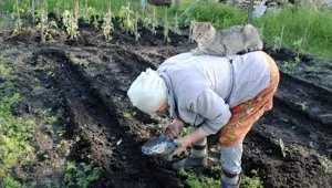 Какво да очакваме през новата година