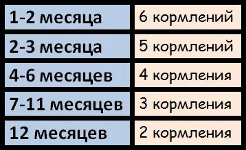 С какво да храним Shih Дзъ десен диета, график хранене