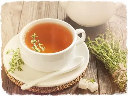 Чай с мащерка - всички тайни на готвене и рецепти