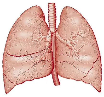 Centrul de Chirurgie Toracica, Spitalul Clinic №122 numit Peninsula Federal Medico-Biologică