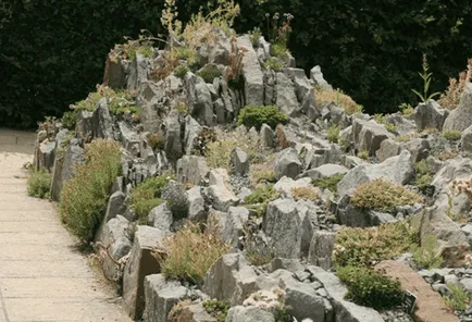 Cseh Skalka, gyönyörű ötletek a kertben