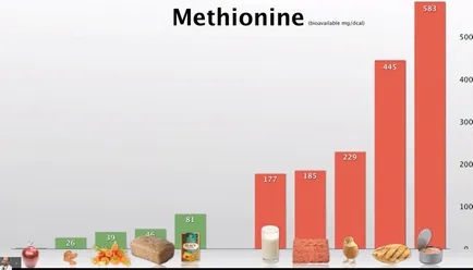 Ce hrănește celulele canceroase