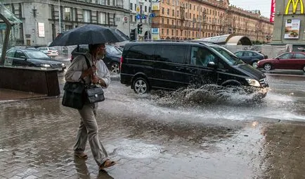 Ei trebuie să știe șoferul stând în spatele volanului unei mașini