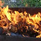 Лято жители онлайн въглища или дървени, за да възпламени барбекюто