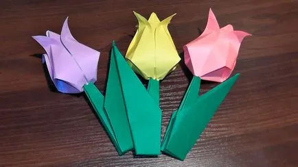 Flori de hârtie origami pentru incepatori Cum sa faci o lalea și Lily