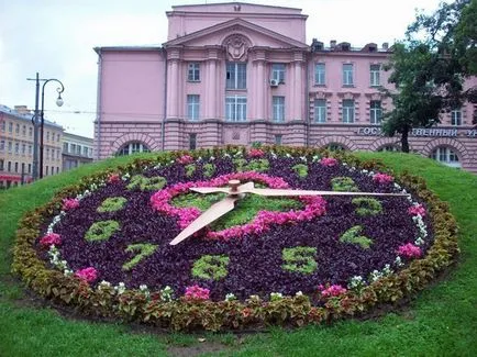 Flower Clock как да се направи легло Karla Linneya, информация, представяне, снимки, видео