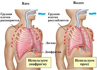 Exerciții de respirație în astm - Strelnikova, Buteyko, copii