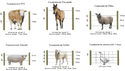 Електроовчар - Електроогради за добитък електроовчар за едър рогат добитък, овце, коне, свине, птици