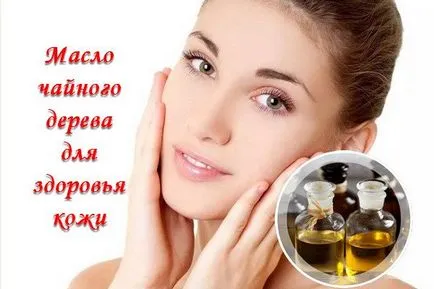 Arbore de ceai ulei esențial proprietăți terapeutice și cosmetice