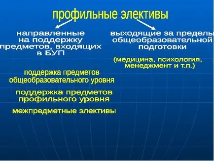 Cursuri opționale - prezentarea raportului, proiectul