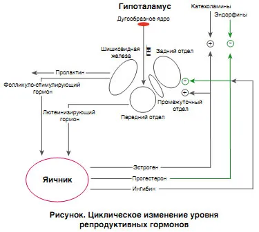 Епилепсия при жените neyronews psihonevrologіya че neyropsihіatrіya