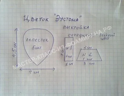 Eustoma a foamirana 3 mesterkurzusokat fotókkal, a mester-osztály foamirana