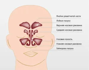 Hiperplasztikus nátha jellemzői a betegség, az okok és a kezelés Ezen betegség