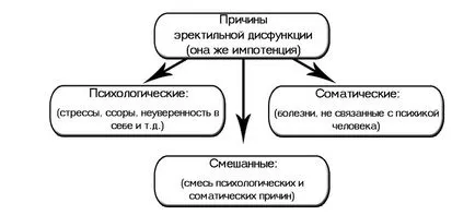 Хомеопатия за импотентност