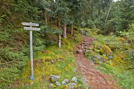 Rock: Mount (mount Skåla)