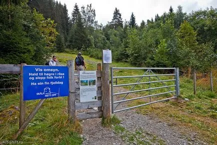 Rock: Mount (mount Skåla)