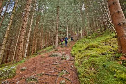 Rock: Mount (mount Skåla)