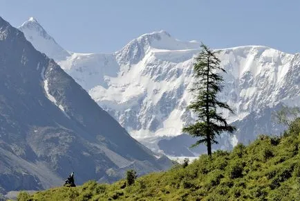 Belukha, Altai, România