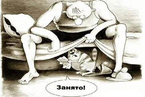 Как да научим котка да поднос с помощта на котката точни инструкции и отзиви от клиенти