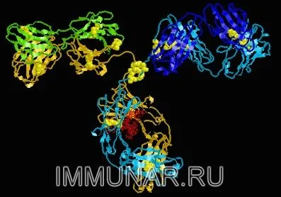 Имунната система е, че тя