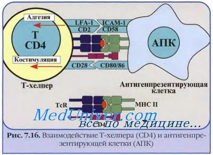 Индексът на симптоматична инфекция