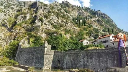 Budva Kotor, bajszos