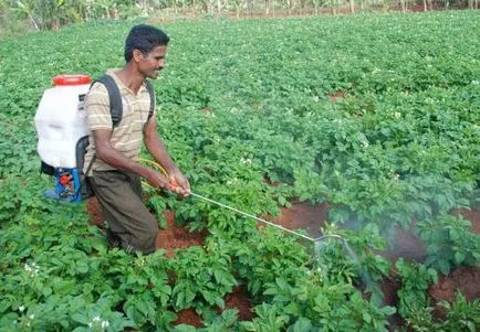 Noi folosim agenți fungicizi pentru protecția plantelor de boli