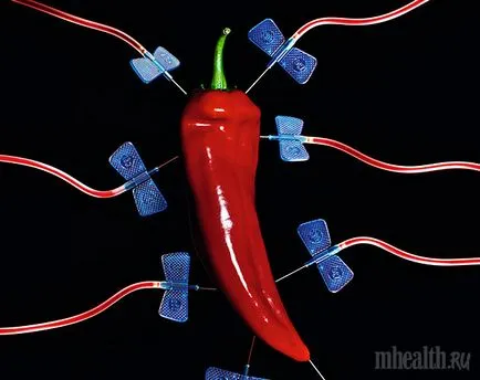Art éget miért chili paprika lesz az új csodaszer