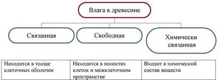 дефекти качество и степен на дървен материал дърво