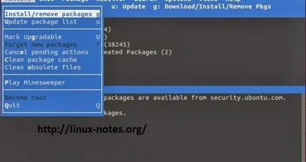 Cum se utilizează instrumentul pachetul de aptitudini pe debian, ubuntu și Linux Mint