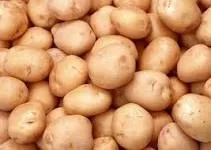 Cum de a vindeca cartofi obișnuiți