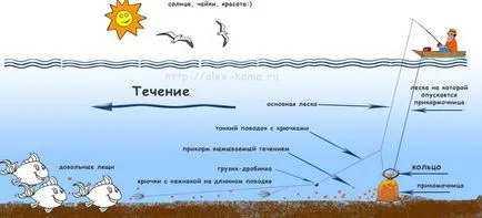 Как да се хване платика от брега на хранилката и лодка върху пръстена - екипировка и стръв