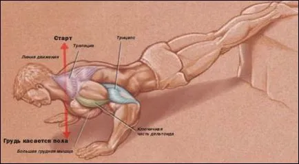 Cum de a construi înălțimea pieptului cu ajutorul push-up-uri,-up-uri împinge