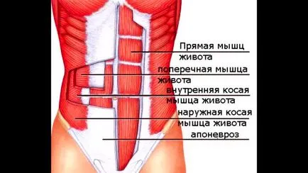 Cum se descarcă abs mai mici pentru femei exerciții - partea 10