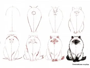 Cum de a desena un tatuaj pisica