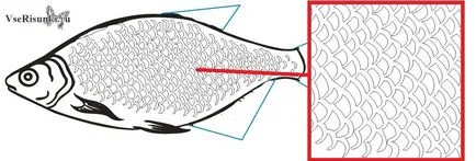 Как да се направи молив риба в етапа