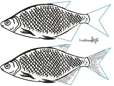 Как да се направи молив риба в етапа