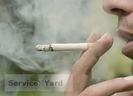 Как да изчистите въздуха на тютюневия дим, serviceyard-комфорт на дома си на една ръка разстояние