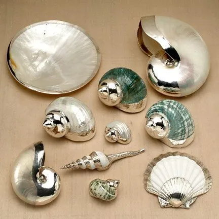 Hogyan díszítik az eredeti shell, a termék a héj saját kezűleg