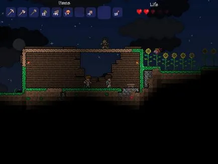 Hogyan lehet túlélni az első éjszaka társaságában zombik - Terraria - a játék