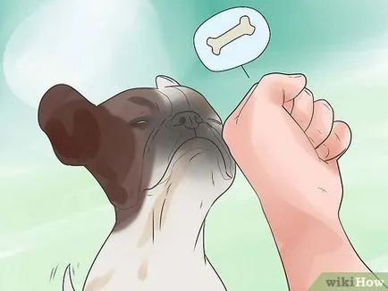 Hogyan segít a kutya teljesen ellazulnak