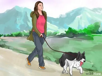 Hogyan segít a kutya teljesen ellazulnak