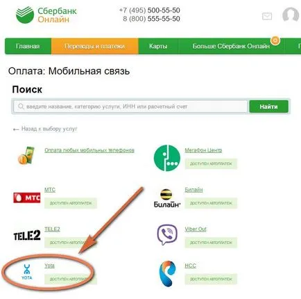 Cum să-și reîncarce contul iota cu un card de credit