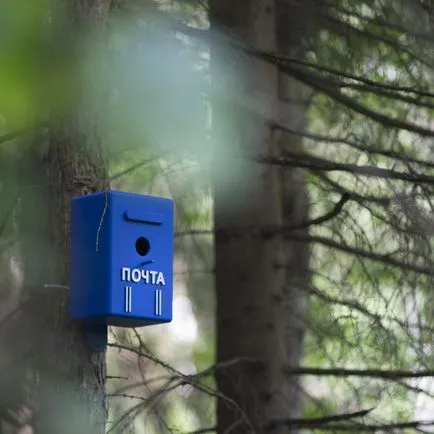 Cum să picteze un Birdhouse folosind vopsele pulverizare