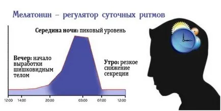 Hogyan lehet javítani a termelés a melatonin hormon és fogyni